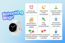 Cikk csatolmány