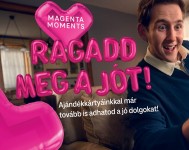 Cikk csatolmány