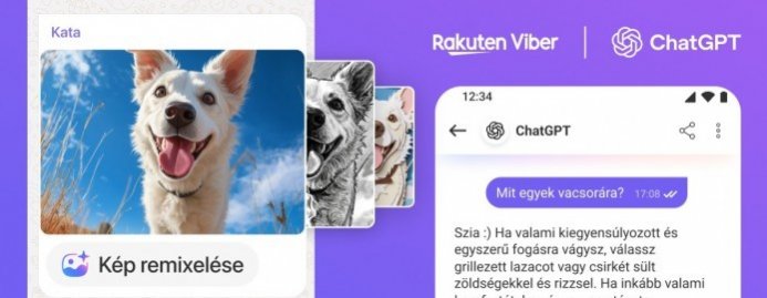 Cikk lapozó kép