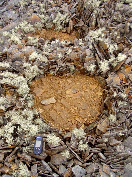 Poligonok a tundrán